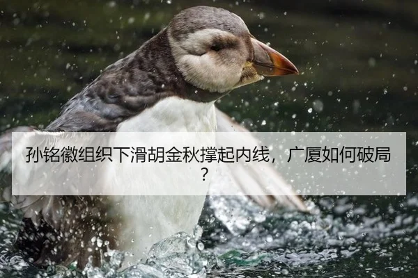 孙铭徽组织下滑胡金秋撑起内线，广厦如何破局？