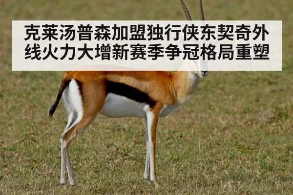 克莱汤普森加盟独行侠东契奇外线火力大增新赛季争冠格局重塑
